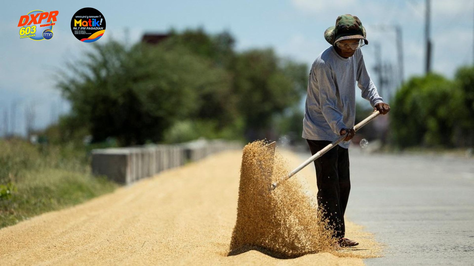 Philippines Achieves Record Rice Harvest in 2025
